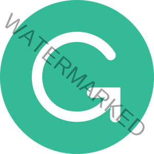 Grammarly premium 5 months subscription account global