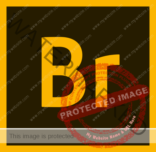 adobe bridge cc