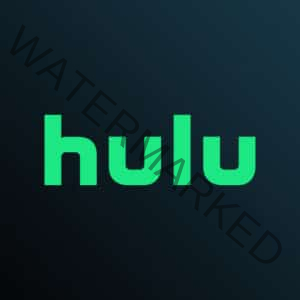 Hulu 3 months subscription account global