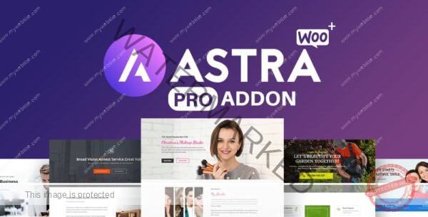 astra pro addon